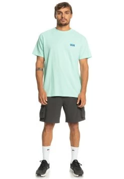 Quiksilver Out There Landscape Ss - T-Shirt Print - Beach Glass -Kleding Verkoop 189e95e04c9c4b2786b967599f071991