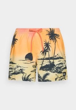 Quiksilver Everyday Paradise Volley 15 - Zwemshorts - Fresh Salmon