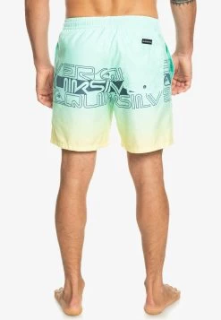 Quiksilver Everyday Wordblock Volley 17 - Zwemshorts - Beach Glass -Kleding Verkoop 2d5bc11994db4f839fa6d11c24248df1