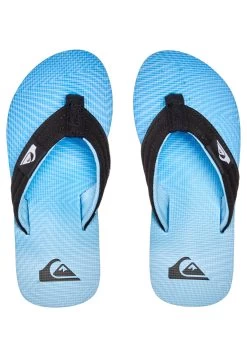 Quiksilver Molokai Layback - Teensandalen - Blue -Kleding Verkoop 2de583ea472e4631bb421912580ecd91