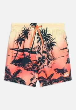 Quiksilver Everyday Paradise Vl Youth- Zwemshorts - Beach Glass
