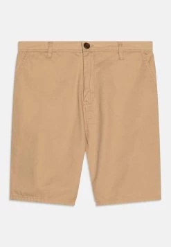 Quiksilver Everyday Yth - Shorts - Incense