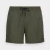 Quiksilver Everyday Deluxe Volley - Zwemshorts - Thyme Heather -Kleding Verkoop 49ace700b73a418b907ac5c1871f2e00