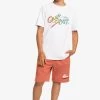 Quiksilver Signature Move Ss Yth - T-Shirt Print - White -Kleding Verkoop 525d346dc53a4132b4eb959f19ba3617