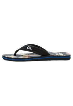 Quiksilver Molokai Layback - Teensandalen - Blue/Pink