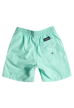 Quiksilver Everyday- Zwemshorts - Beach Glass -Kleding Verkoop 57c3717d6ffa4412a6912b21f3dae223