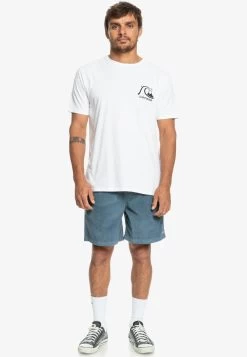 Quiksilver Taxer - Shorts - Bering Sea -Kleding Verkoop 59430532029c4766967d614183d4da59
