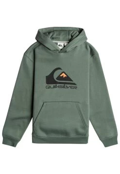 Quiksilver Big Logo Youth - Hoodie - Laurel Wreath -Kleding Verkoop 5d0a3eb4ab5f4246896b4824ff5782d0