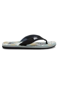 Quiksilver Molokai Layback - Teensandalen - Mottled Light Green -Kleding Verkoop 684a7f06687d4af080c60b9c04237bd3