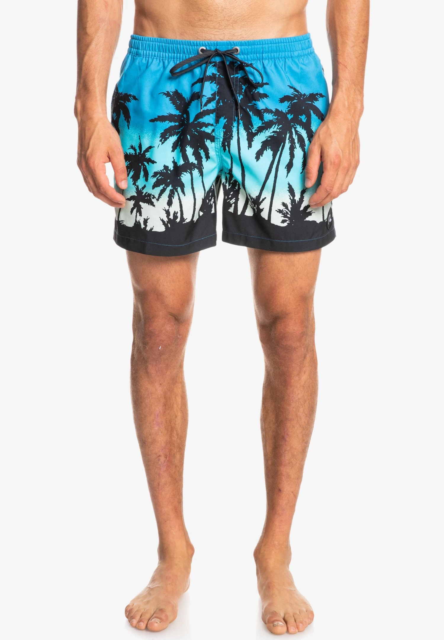 Quiksilver Everyday Paradise- Zwemshorts - Blithe 3 Quiksilver Everyday Paradise- Zwemshorts - Blithe