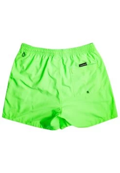 Quiksilver Everyday Volley 16 - Zwemshorts - Green Gecko -Kleding Verkoop 6c09f59be8bb49dda1a2fb194f65cac1