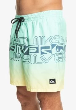 Quiksilver Everyday Wordblock Volley 17 - Zwemshorts - Beach Glass -Kleding Verkoop 6e511147d8204d3baf32b1cd53434e8a