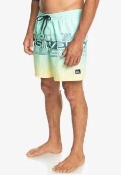 Quiksilver Everyday Wordblock Volley 17 - Zwemshorts - Beach Glass -Kleding Verkoop 800baa06a92046319593f8354f3d2295