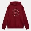 Quiksilver Graphic Hoodie Youth - Sweater - Tibetan Red -Kleding Verkoop 807a7862a6944c5b95ecb160a3e103aa