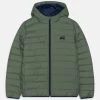 Quiksilver Scaly Youth - Winterjas - Laurel Wreath -Kleding Verkoop 824dcbd6a5734e779cea1484315c62b3