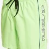 Quiksilver Everyday Volley 16 - Zwemshorts - Green Gecko -Kleding Verkoop a12b4e3ee4c74f7b9798eef392aec03d