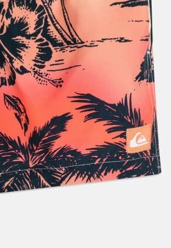 Quiksilver Everyday Paradise Vl Youth- Zwemshorts - Beach Glass -Kleding Verkoop a8a3358a5d5f499ca2de5aa267ad868e