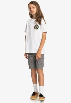 Quiksilver Unisex Crucial Battle - Shorts - Quiet Shade