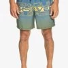 Quiksilver Everyday Wordblock Volley 17 - Zwemshorts - Bering Sea -Kleding Verkoop bab3775f82db48cfa5820115db2c9463