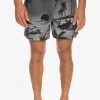 Quiksilver Everyday Paradise Volley 15 - Zwemshorts - Black -Kleding Verkoop bb634c734ee24533b533883427f0b441