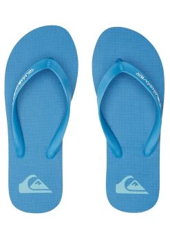 Quiksilver Molokai Core - Tongs - Teensandalen - Blue 2 -Kleding Verkoop c39aaf23a30041aa9bde863d2bf9033b