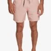 Quiksilver Everyday Deluxe Volley - Zwemshorts - Birch -Kleding Verkoop d86278a239184eb68cd58ce6c3b4168a