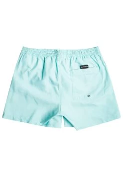 Quiksilver Everyday Volley 15 - Zwemshorts - Pastel Turquoise -Kleding Verkoop e3211ee2b77044d8a97de059ee138820