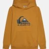 Quiksilver Big Logo Youth - Hoodie - Mustard 2 Quiksilver Big Logo Youth - Hoodie - Mustard -Kleding Verkoop e8d4b3109c4246b3af3e066b5073b4f4