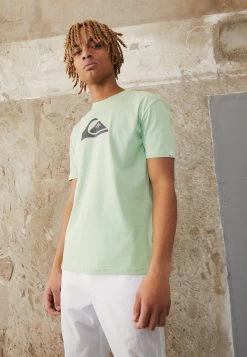 Quiksilver Complogo Byj0 - T-Shirt Print - Sprucestone