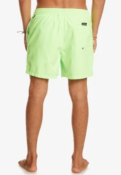 Quiksilver Everyday Volley 16 - Zwemshorts - Green Gecko -Kleding Verkoop f7e3a4f1249749389c143145c94c262d