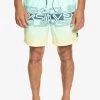 Quiksilver Everyday Wordblock Volley 17 - Zwemshorts - Beach Glass -Kleding Verkoop f83d1b7f954a43de926f008fa0fc818e